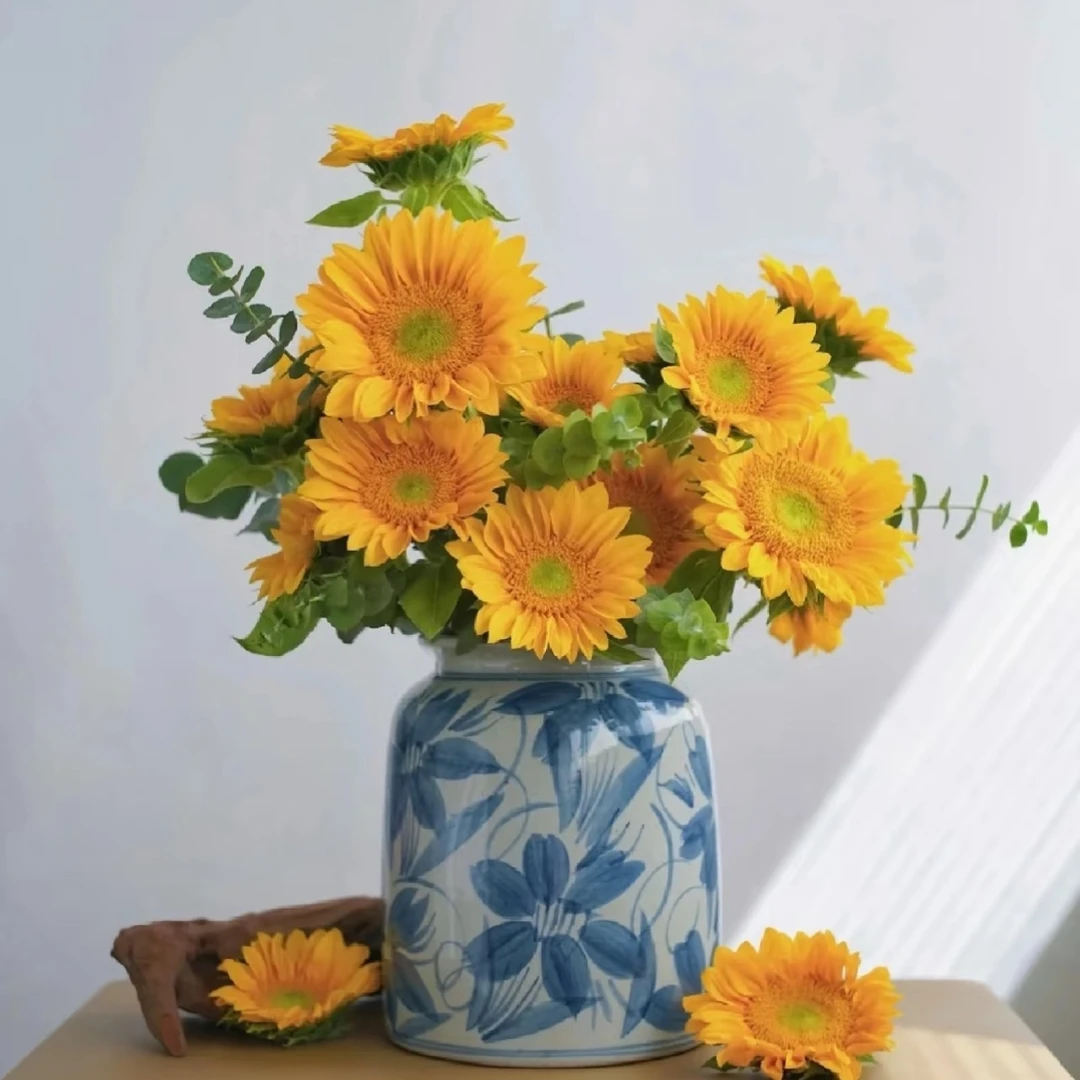 【梵高的向日葵】绿心向日葵10支