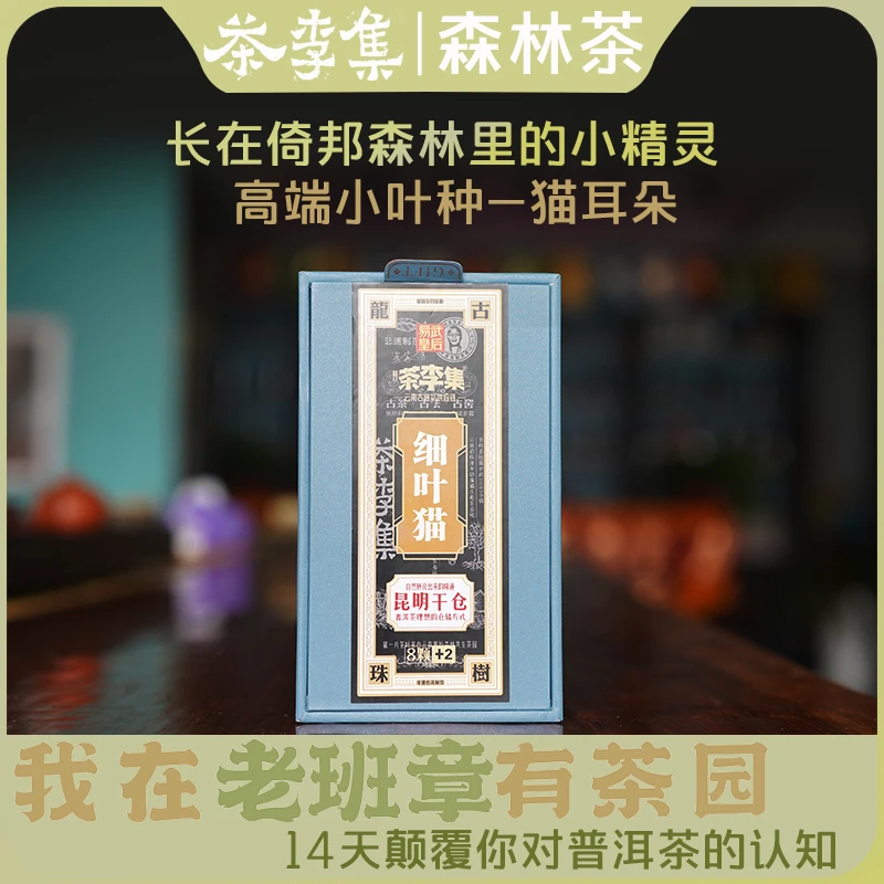 【新人见面礼 拍5份发6份】2023年倚邦细叶猫古树龙珠生茶10颗70g盒