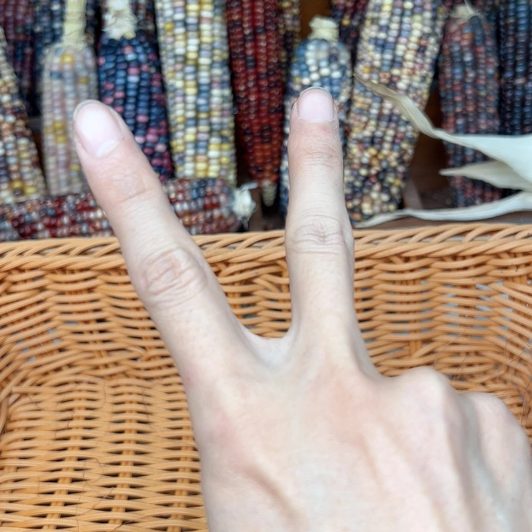 肉***妈文玩玉米毛料精品