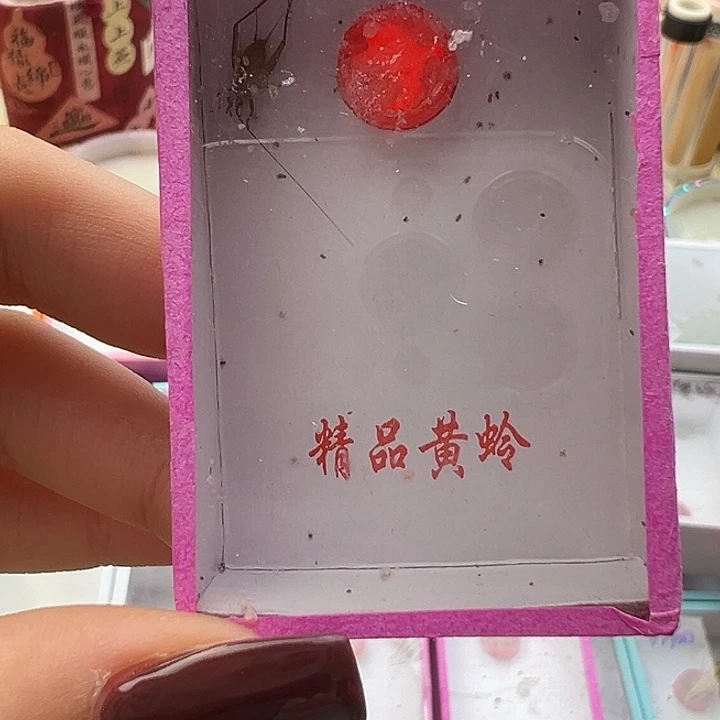 断须中黄蛉一只。