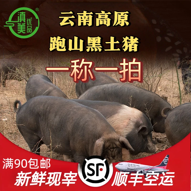 【一称一拍】现场称重为准云南高原跑山黑土猪顺丰空运