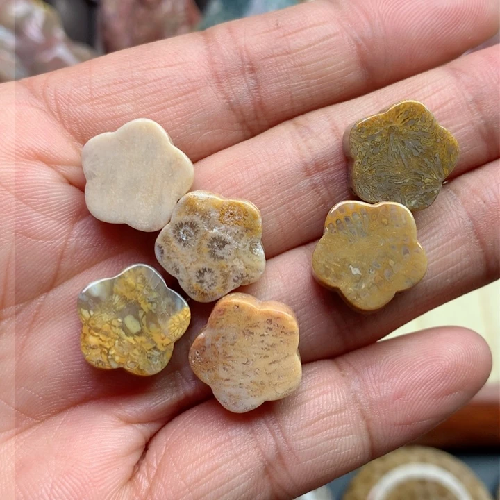 硅化珊瑚（珊瑚玉）颈饰未镶嵌