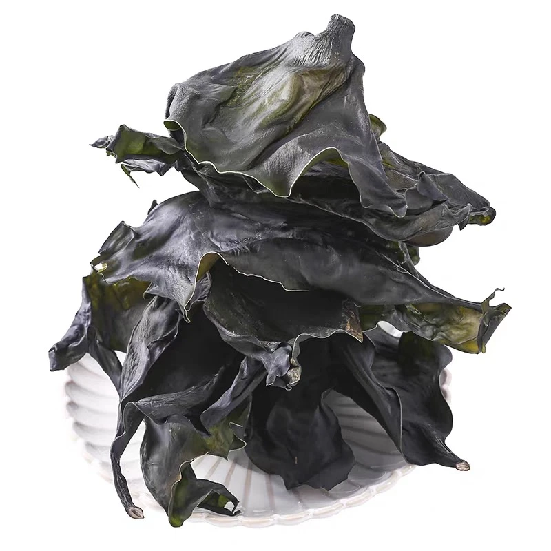 威海荣成烘干海带头十倍泡发煲汤凉拌必备