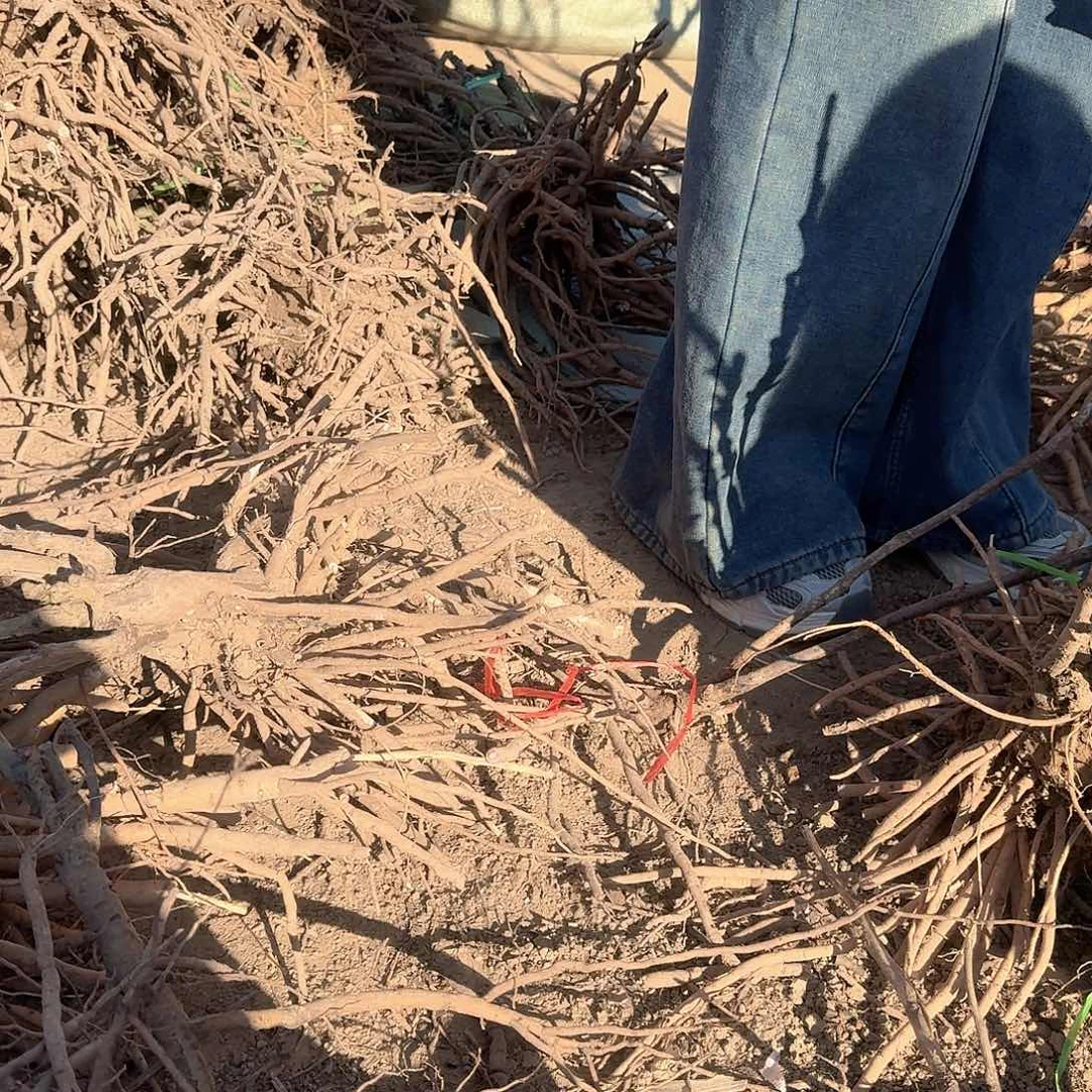 完全开放11111111111