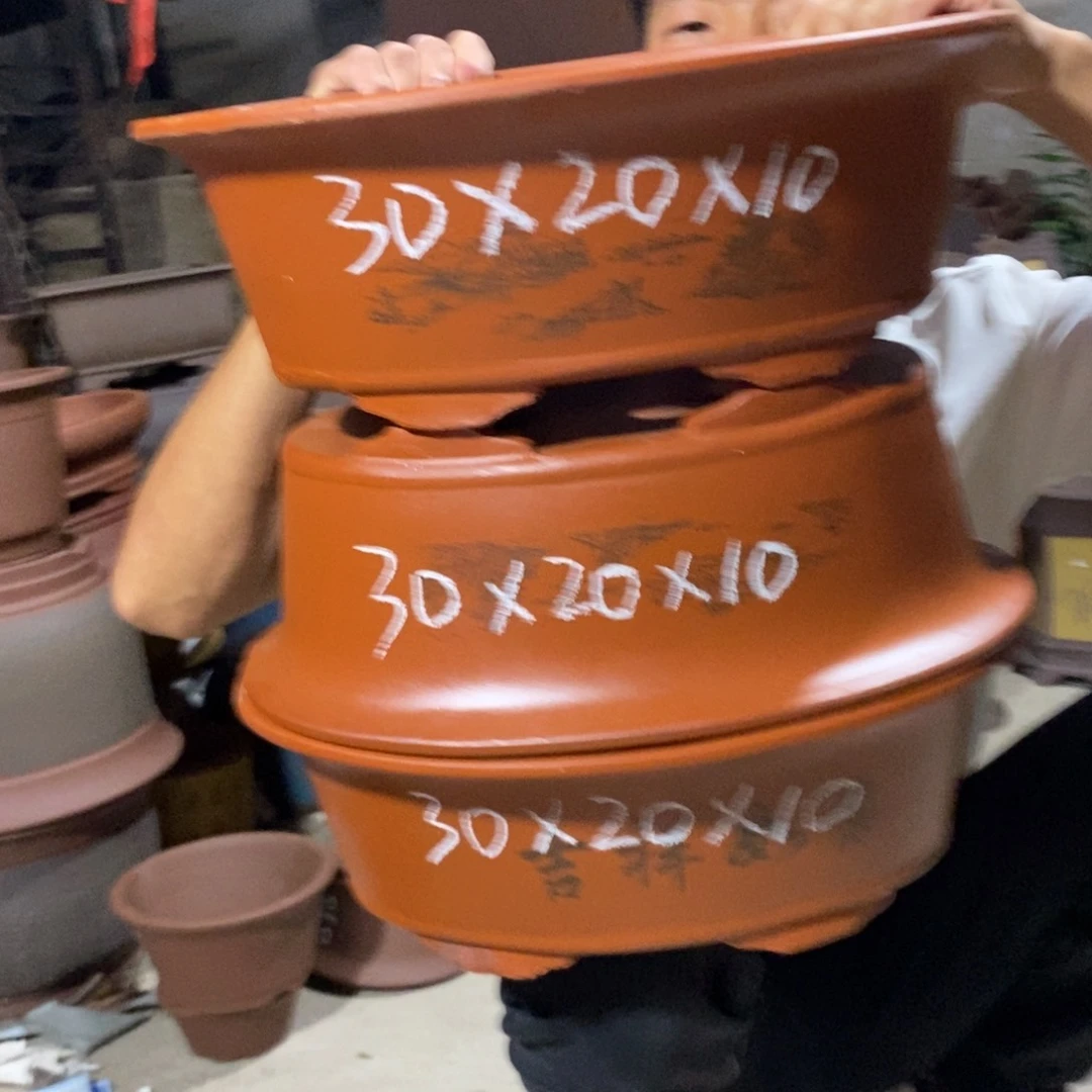 紫砂花盆紫砂紫砂紫砂紫砂