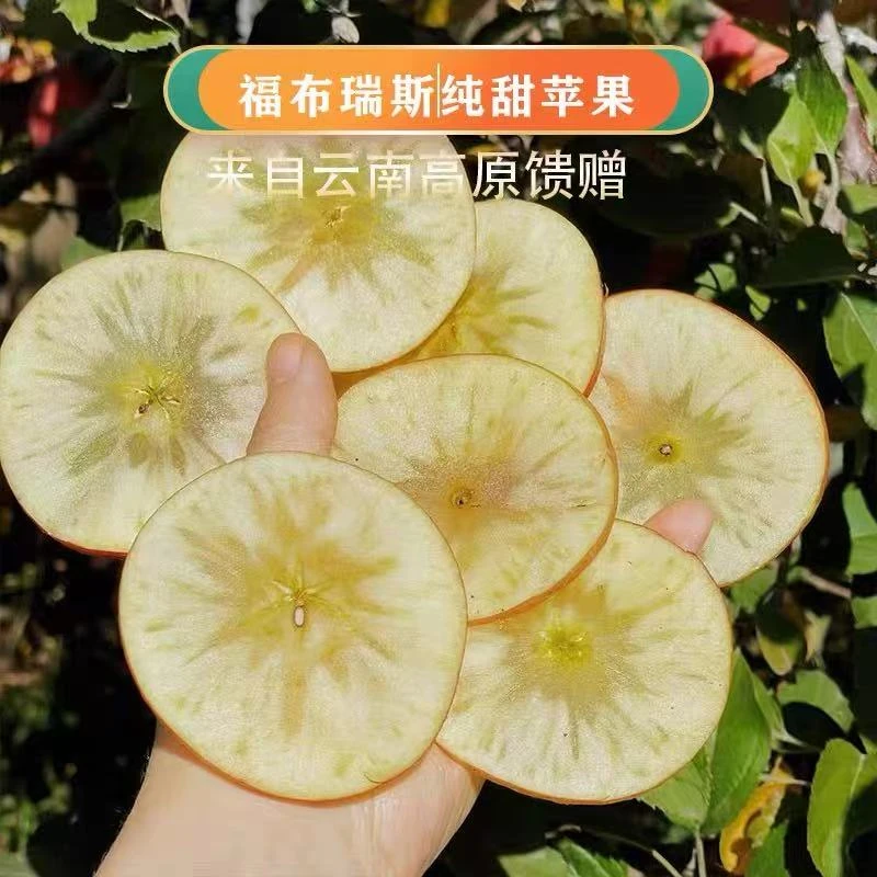 【许榕真专属】观梧昭通福布瑞斯富士青黄红苹果纯甜爆汁京东顺丰