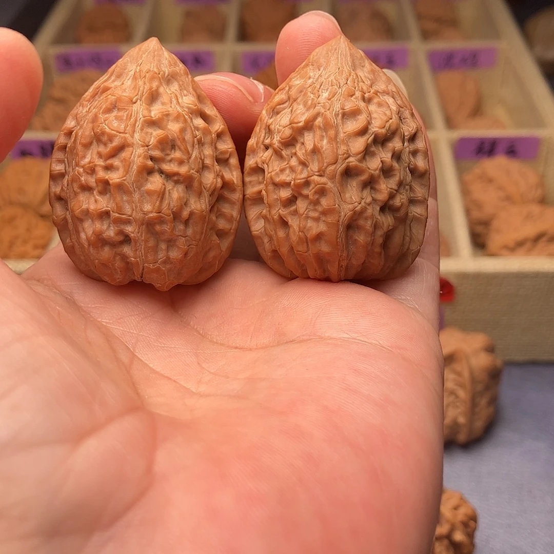 力***.把件文玩核桃蛇王一抹红