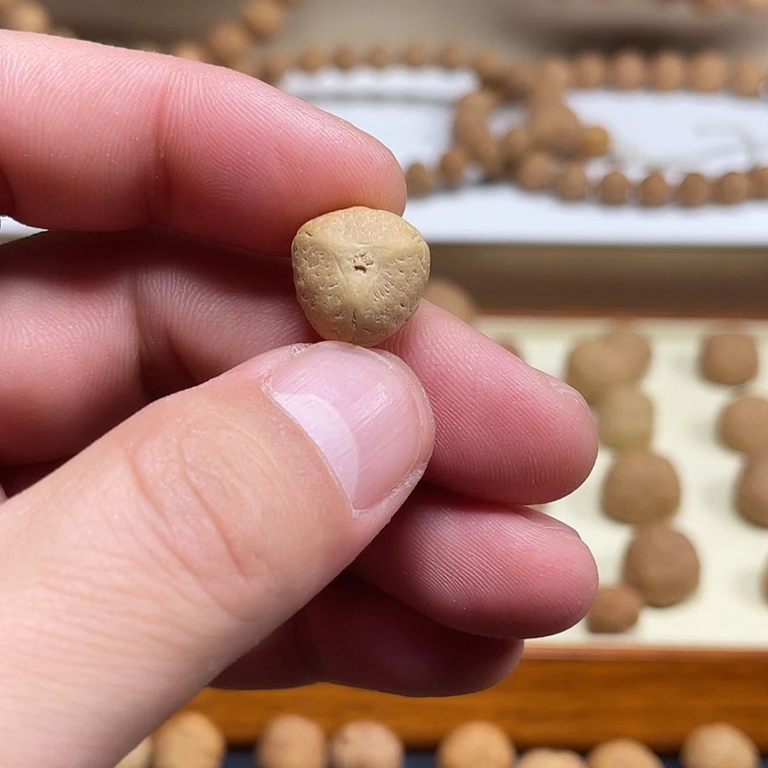 龙眼菩提吊坠初*贰13mm实心龙眼