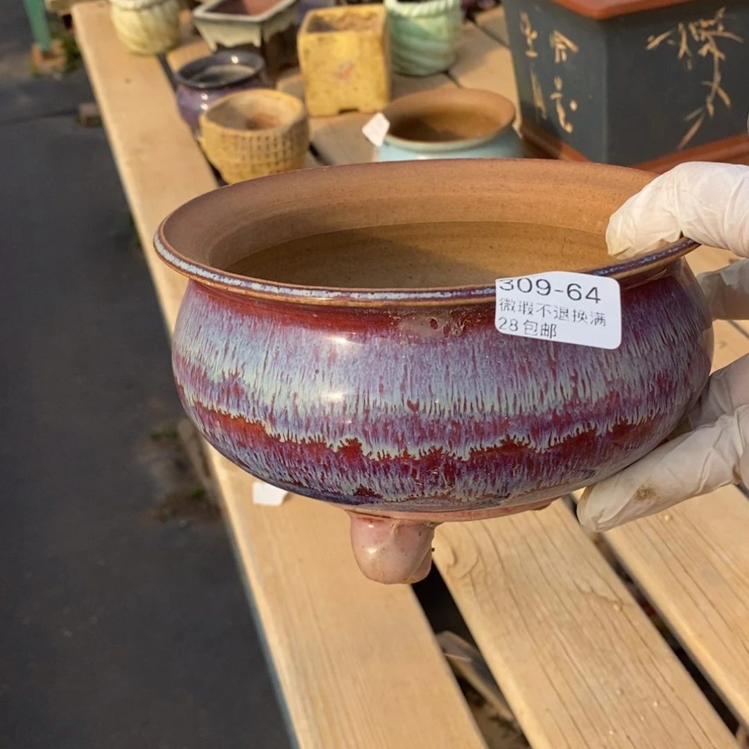 红陶往**烟64号多肉盆一个呀