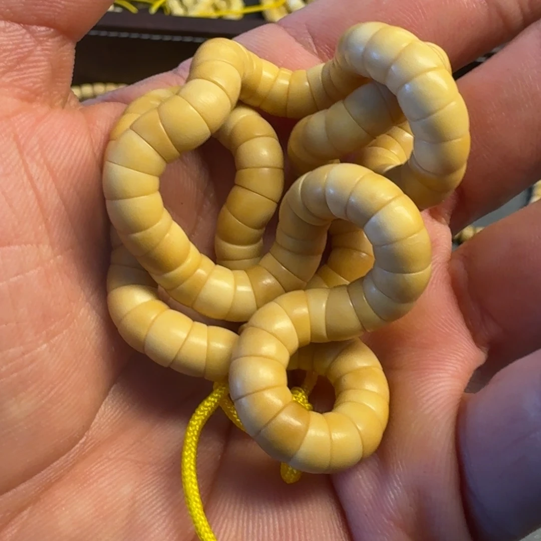 菩提根/象牙果吊坠龙脊