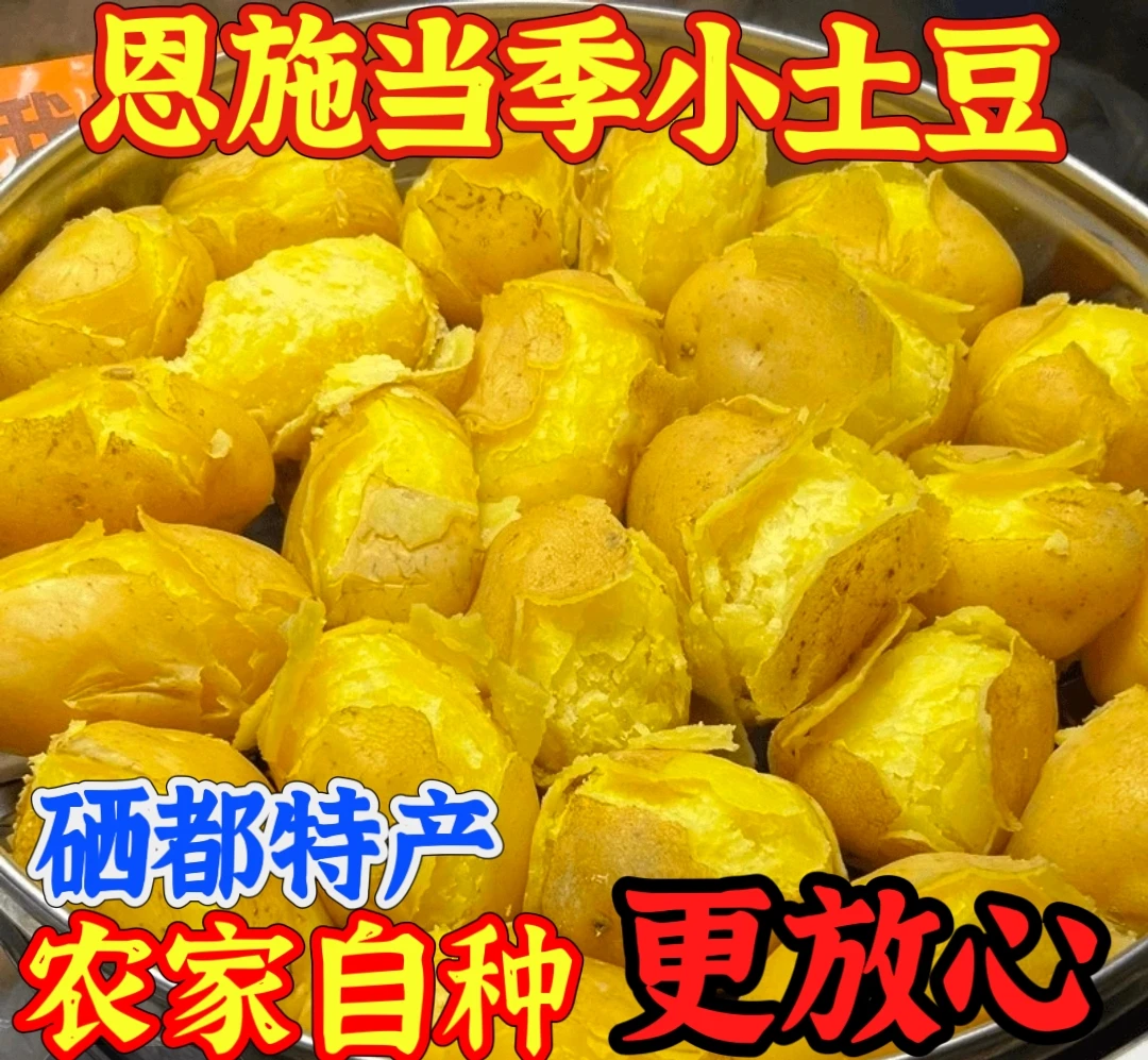 恩施本土【马尔科】黄心小土豆 现挖新鲜当季土豆农家自种生态健康