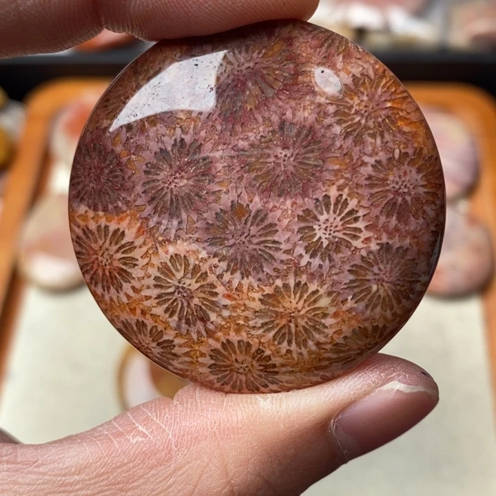 硅化玉颈饰未镶嵌后**人