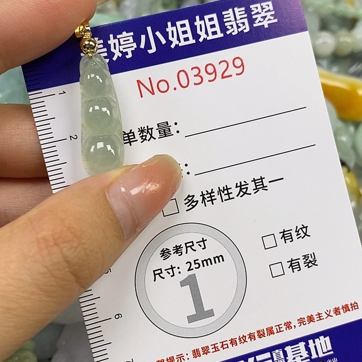 闻***遇翡翠未镶嵌颈饰翡翠