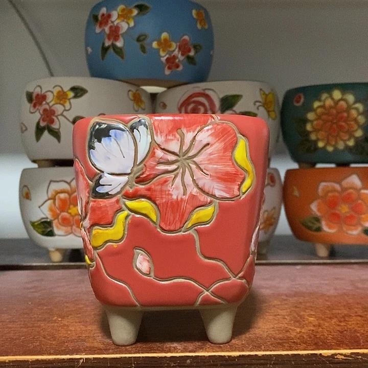 韩式多肉植物花盆