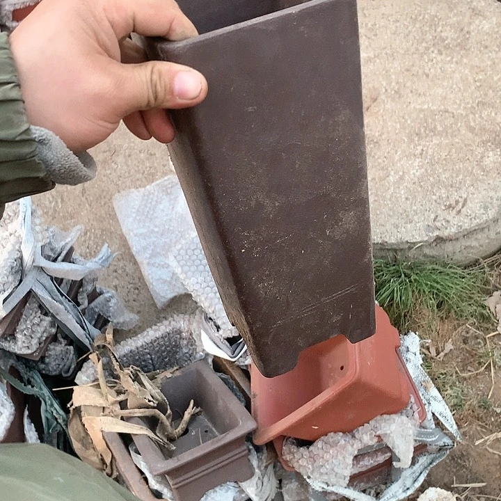 紫砂哈哈真的是太给力太火爆了