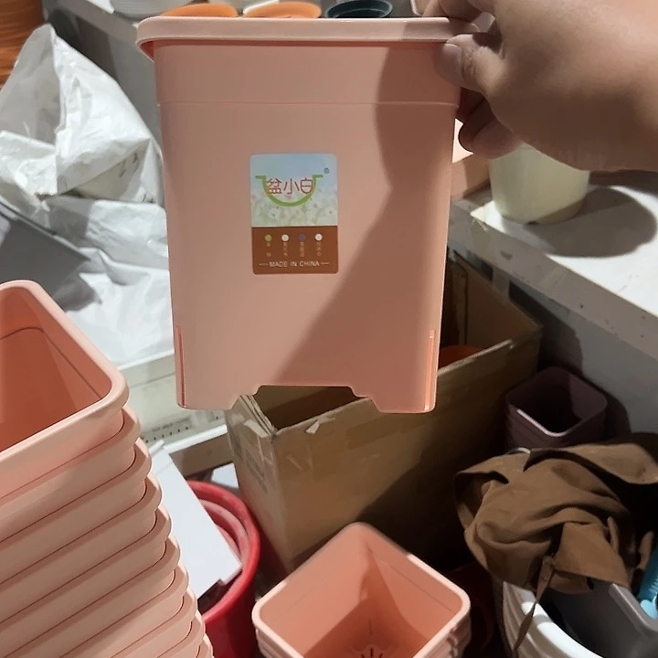 方1号粉5个无托盘