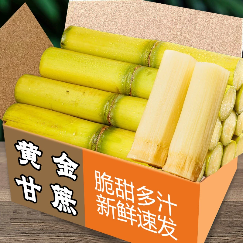 【特价】黄金正宗甘蔗黄皮中段新鲜水果云南批发现砍薄皮青皮当季