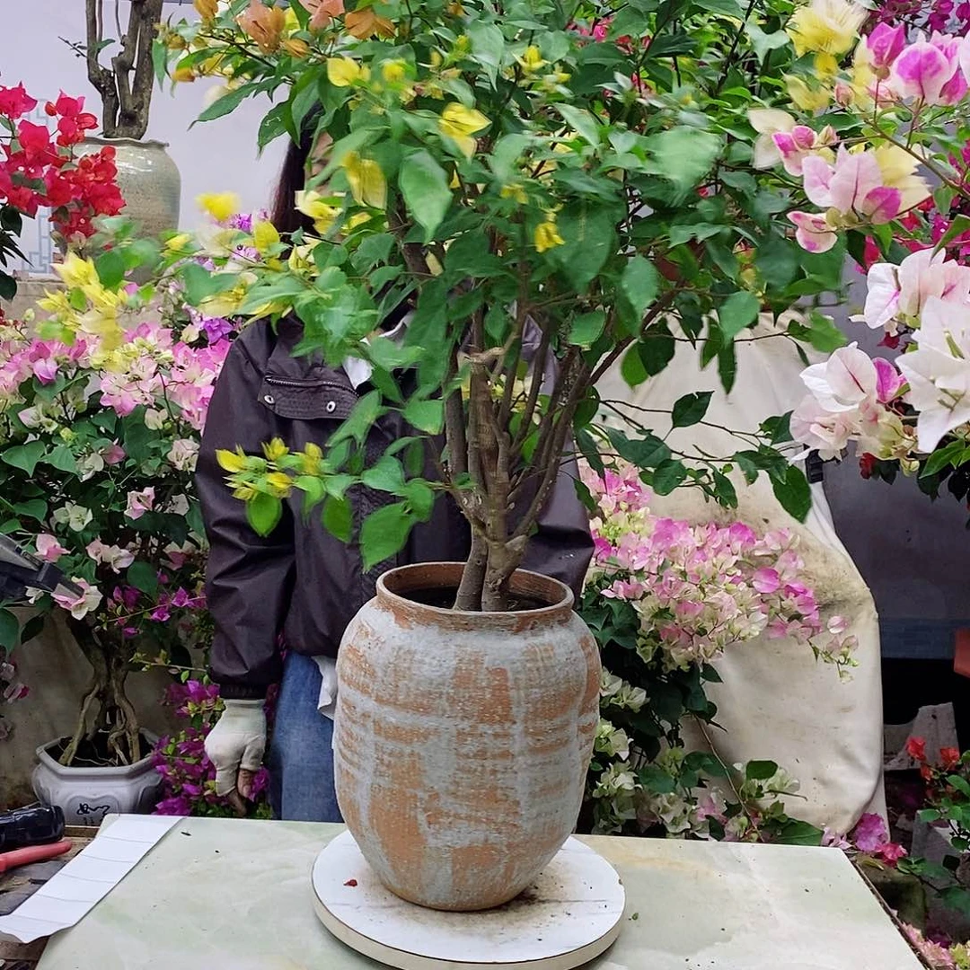 完全开放我要好好学习