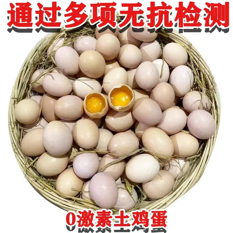 【正宗农户】山林散养跑山鸡溜达鸡10-50枚新鲜营养土鸡蛋现捡现发