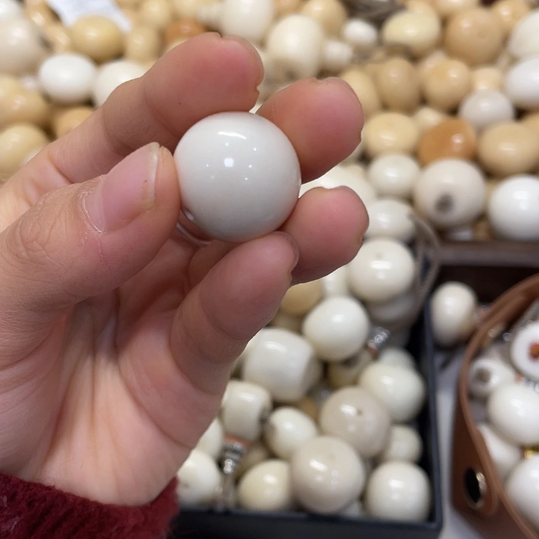 大***利吊坠菩提根/象牙果