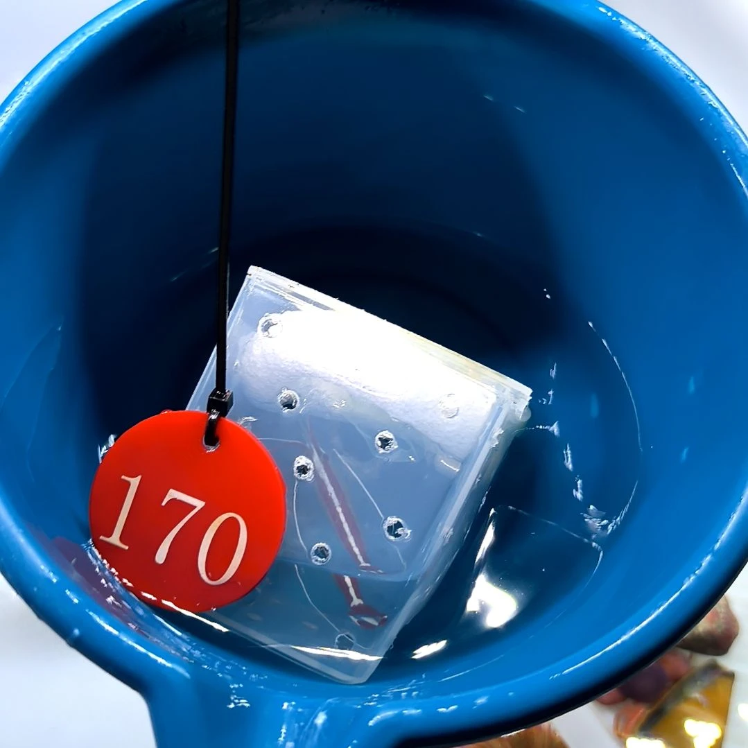 海水鱼医生虾/虾蟹缸170