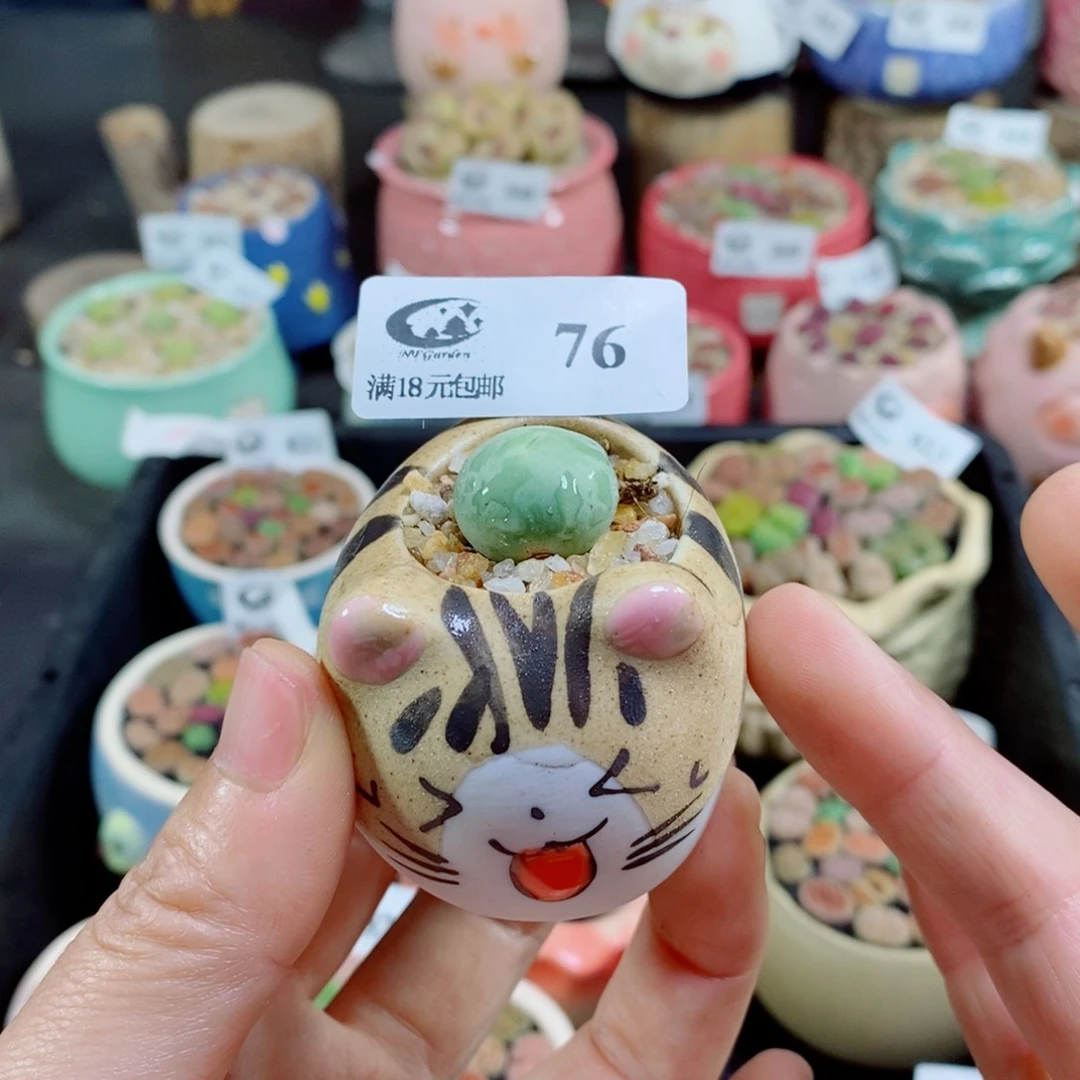 一定不会让你失望一整晚！76