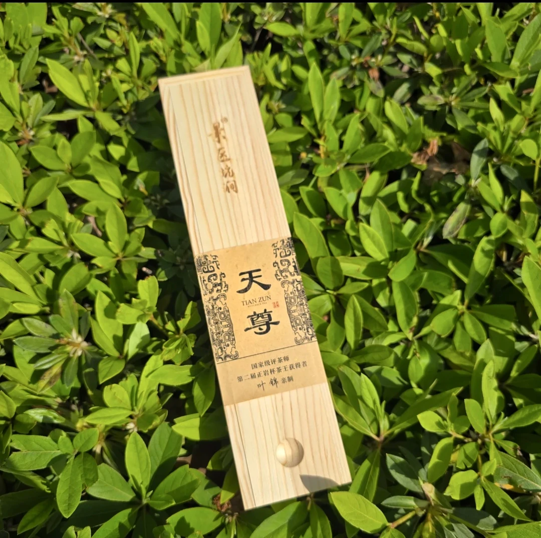 景区坑涧 天尊  34g 4泡品鉴装 武夷岩茶