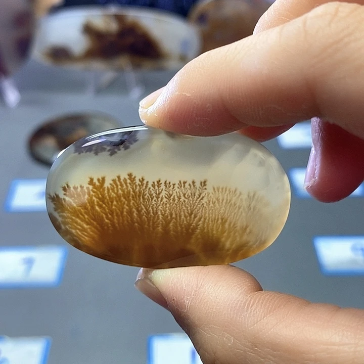 玛瑙/玉髓未镶嵌珠宝半成品