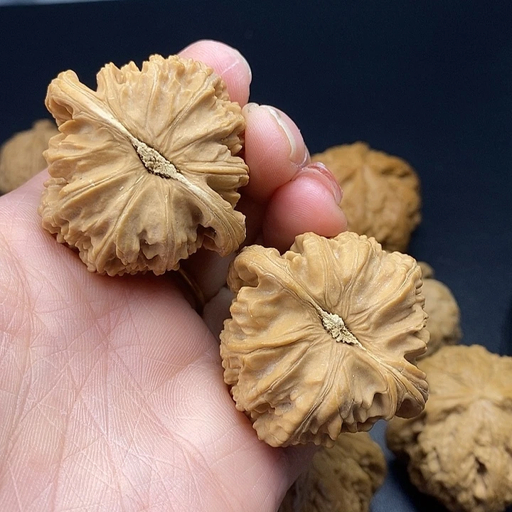 龙脊菩提吊坠三角白43