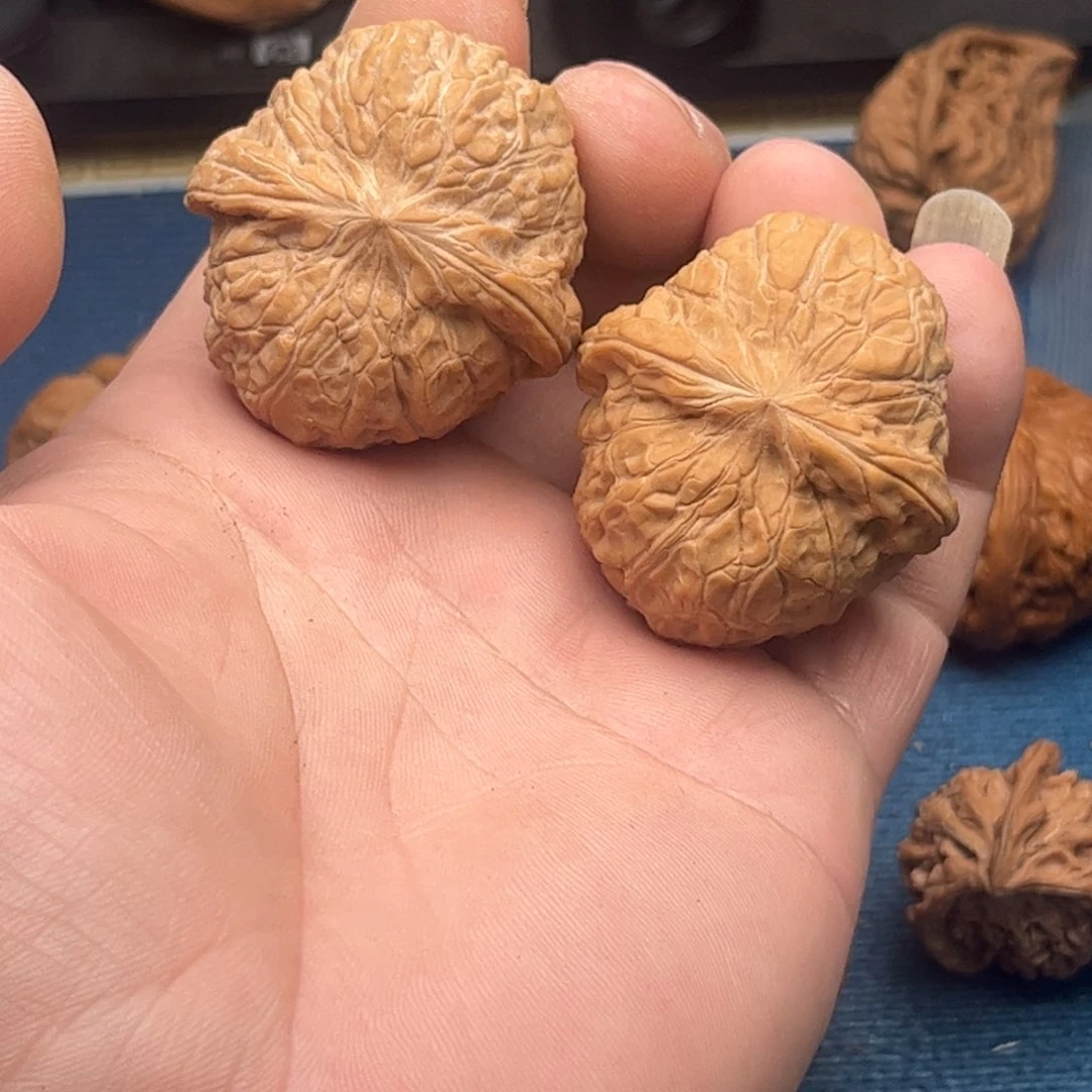 全品无修版正的南瓜
