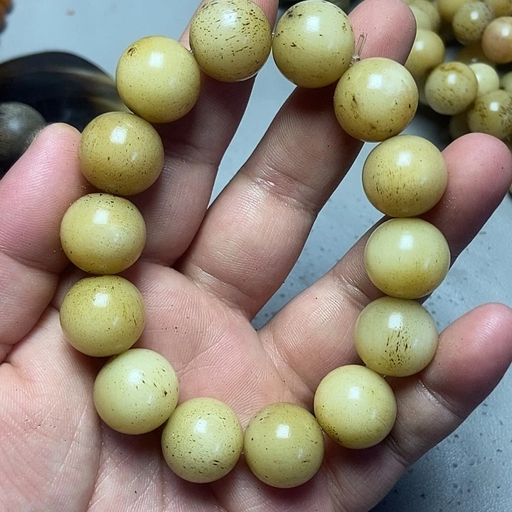 大果紫檀（缅甸花梨）
