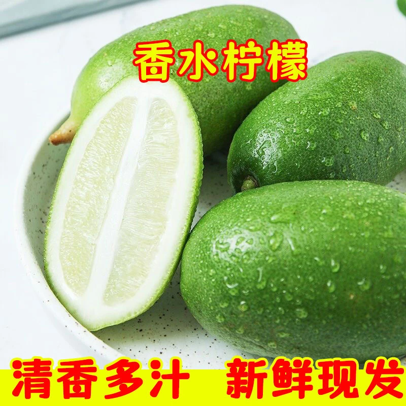 【石榴哥百村行】云南新鲜采摘无籽香水柠檬，皮薄多汁独立包装1-9斤