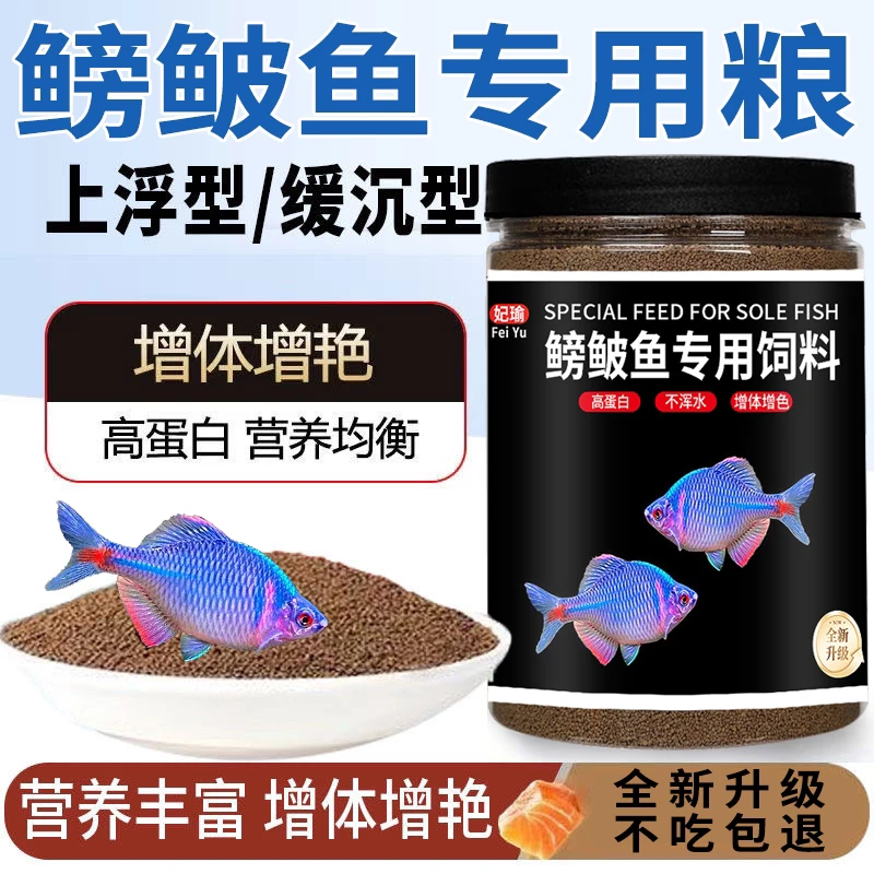 鱼食鳑鲏鱼专用饲料麦穗鱼白条斗鱼小型观赏鱼鱼原生鱼小颗粒鱼粮