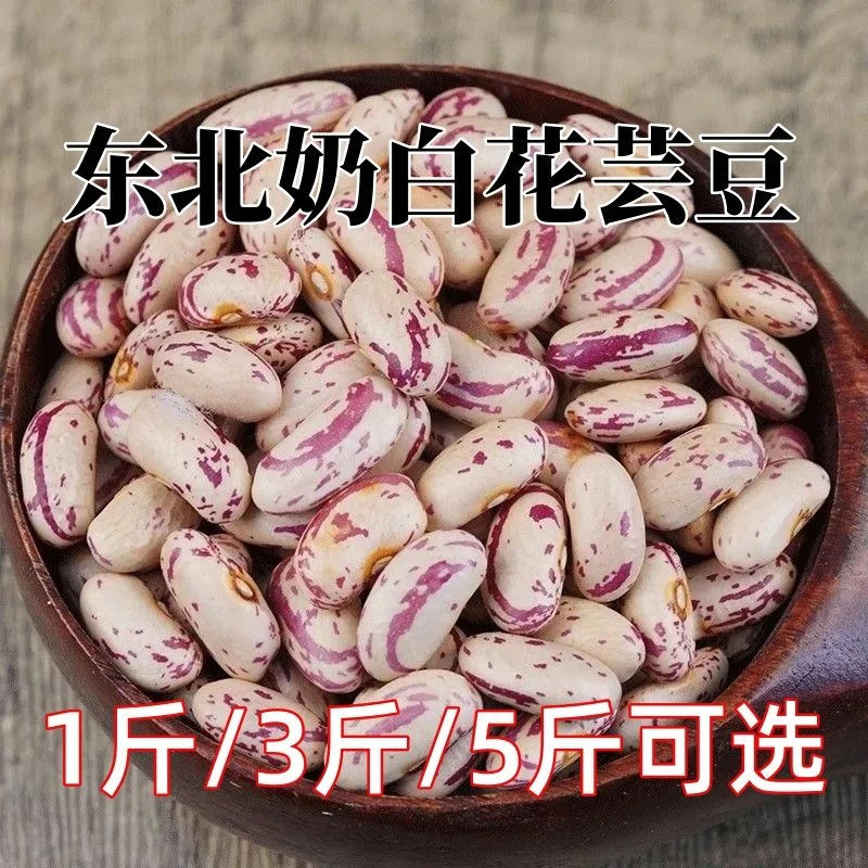新东北奶白花芸豆饭豆可种植不爬蔓大碴粥豆馅海伦农家特产
