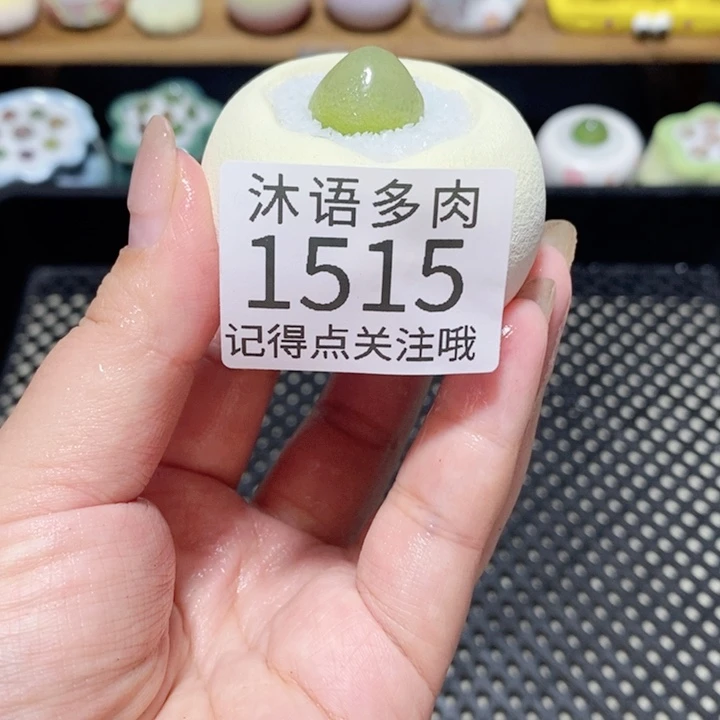 带盆土植物 一物一拍1515