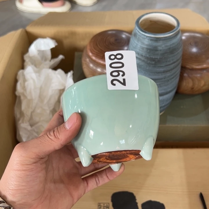 虫**柜315484894646466464