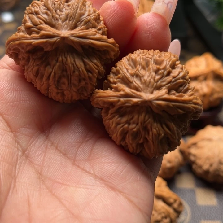 核桃41白狮子文玩