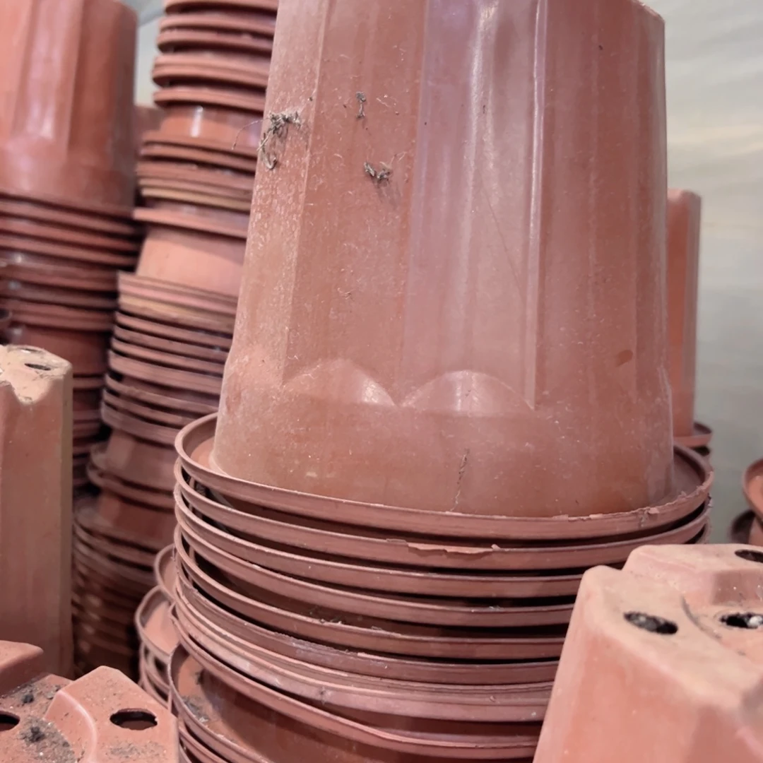 红砖盆22口径19高 10个