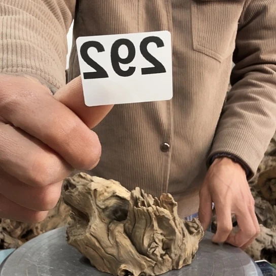 二**安紫砂噜啦啦啦啦啦啦