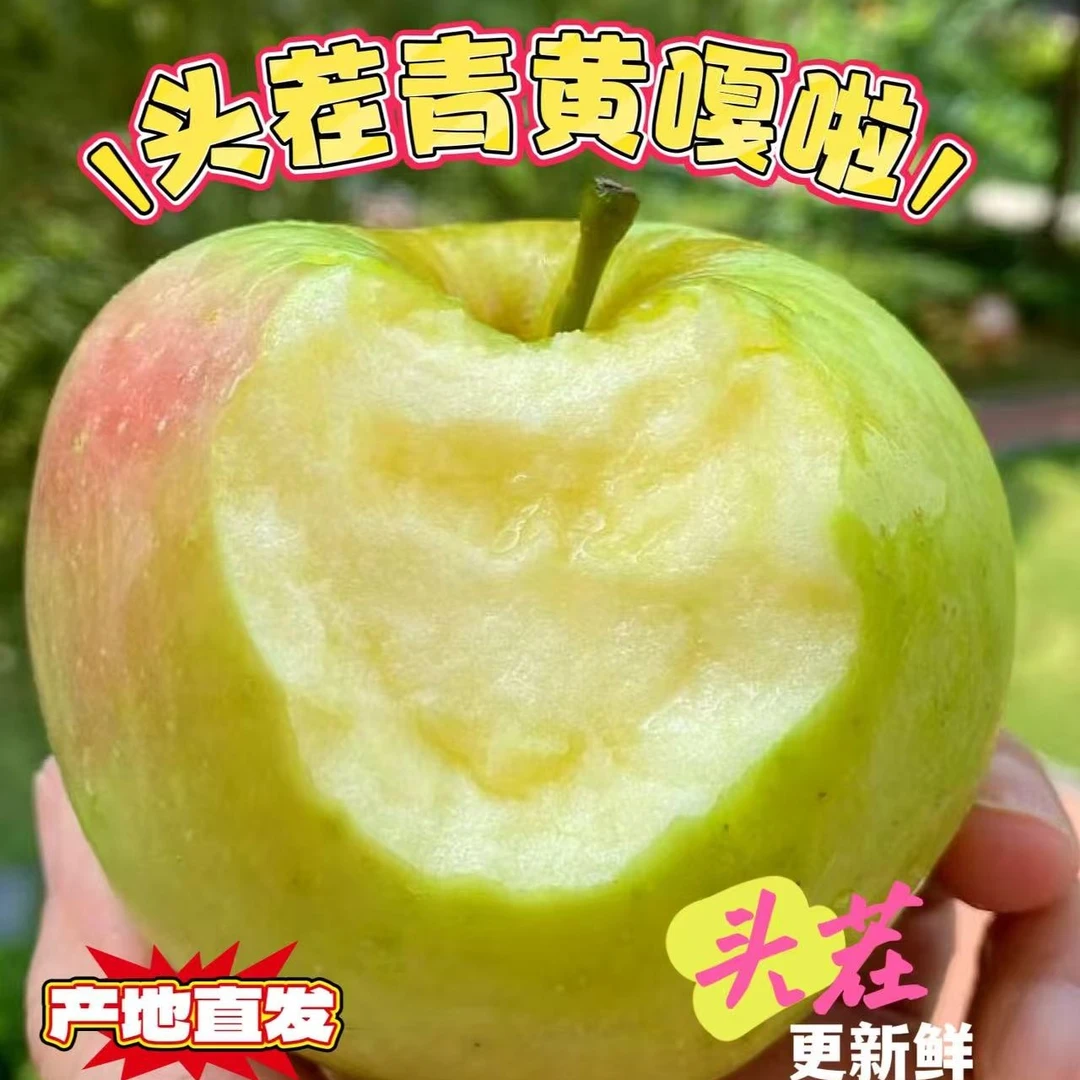 山西头茬黄嘎啦苹果新鲜现当季鲜果孕妇微酸粉糯整箱包邮