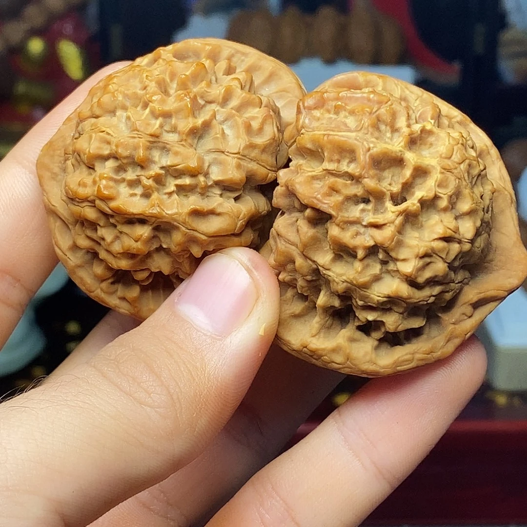 橄榄核手串/手链hhhhhhhbhbbbbbbn