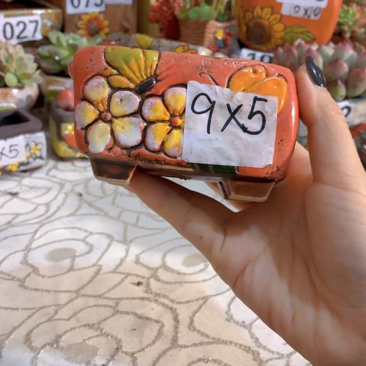 多肉花盆满15包邮