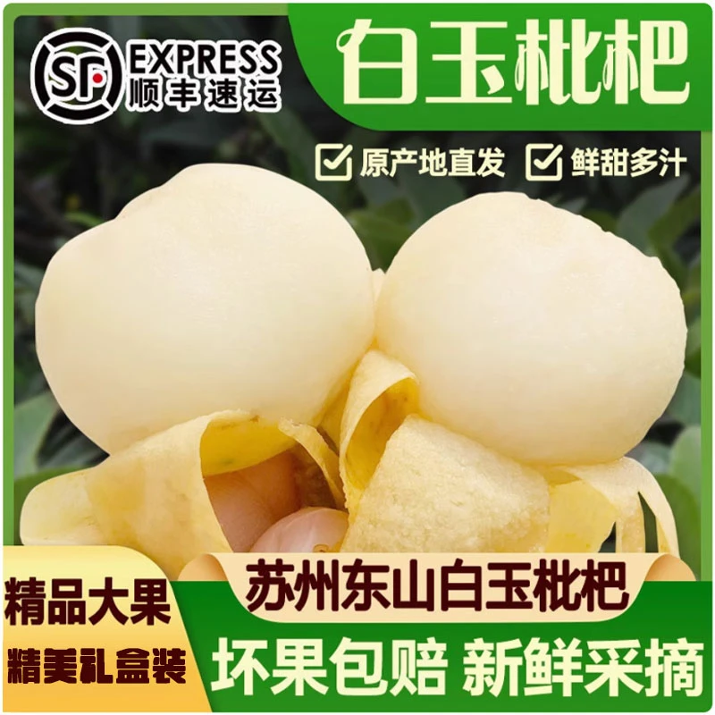 【东山白玉枇杷】苏州东山白玉枇杷白沙枇杷3/4/5斤新鲜水果礼盒装