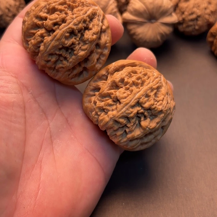 龍***雨大叶紫檀（黑酸枝木类）粗筋47有修