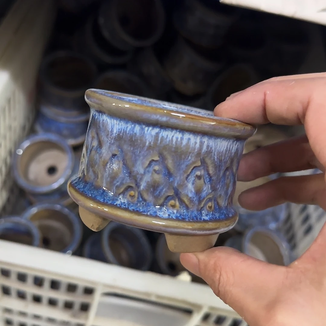 福利局绿植多肉盆［凑9元包邮24小时发］1088