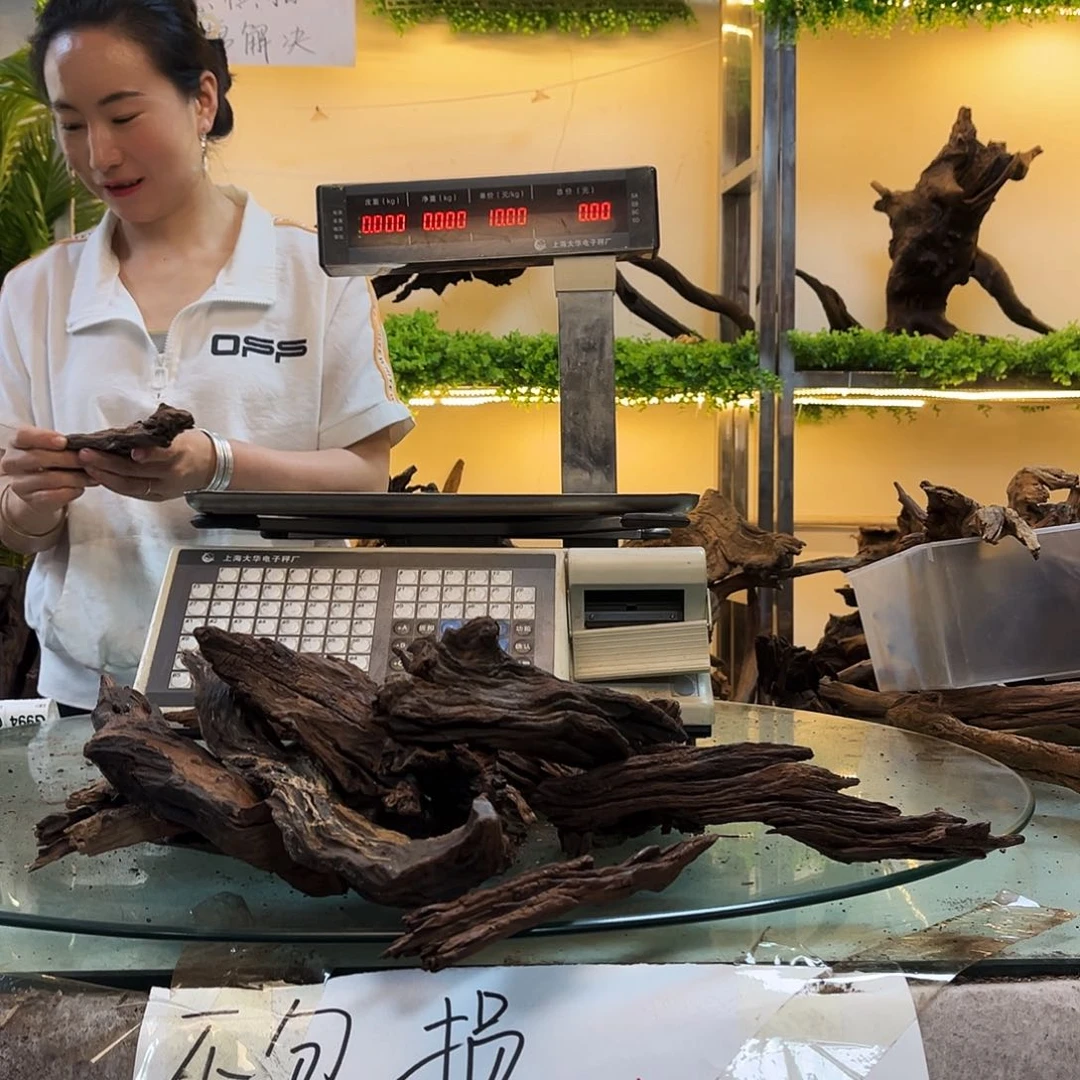 柚木用****6沉木鱼缸造景