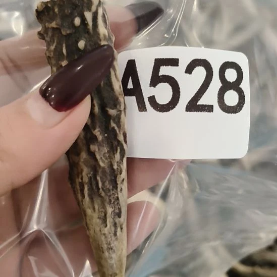 愿***意鹿角鹿角鹿角鹿角鹿