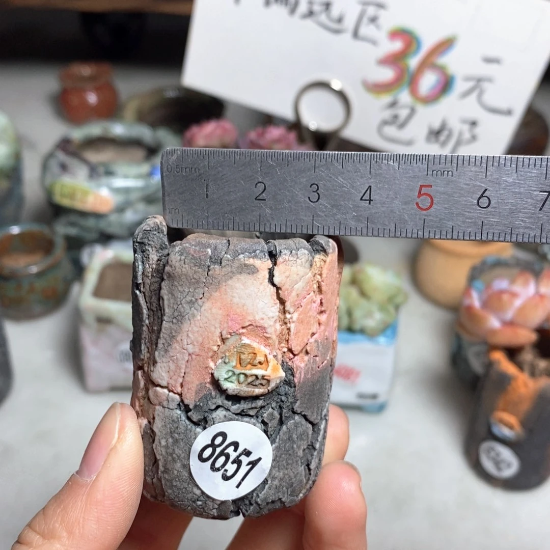 花盆拍3送一个小礼物