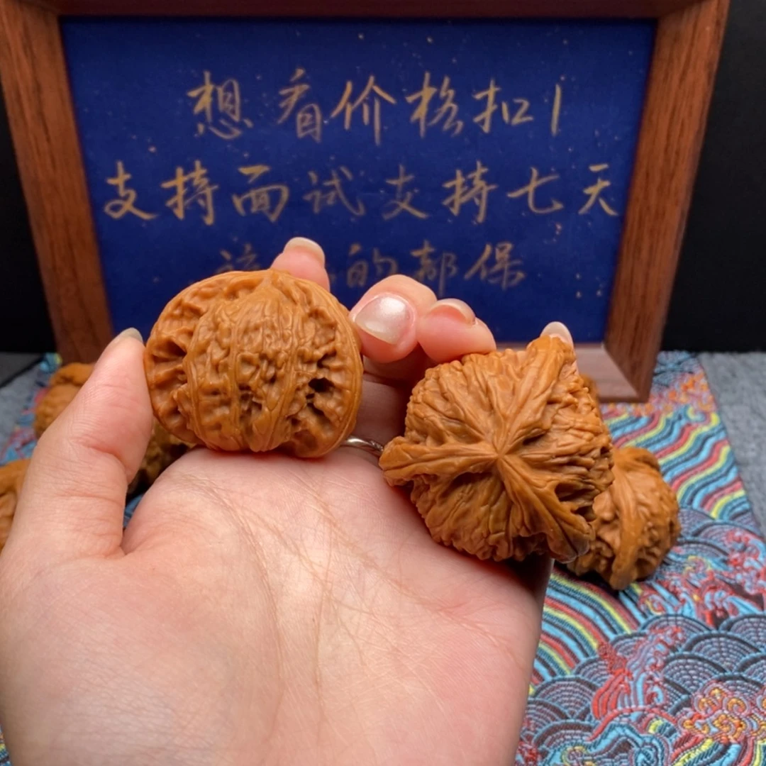 【闪购商品】聊***斯白狮