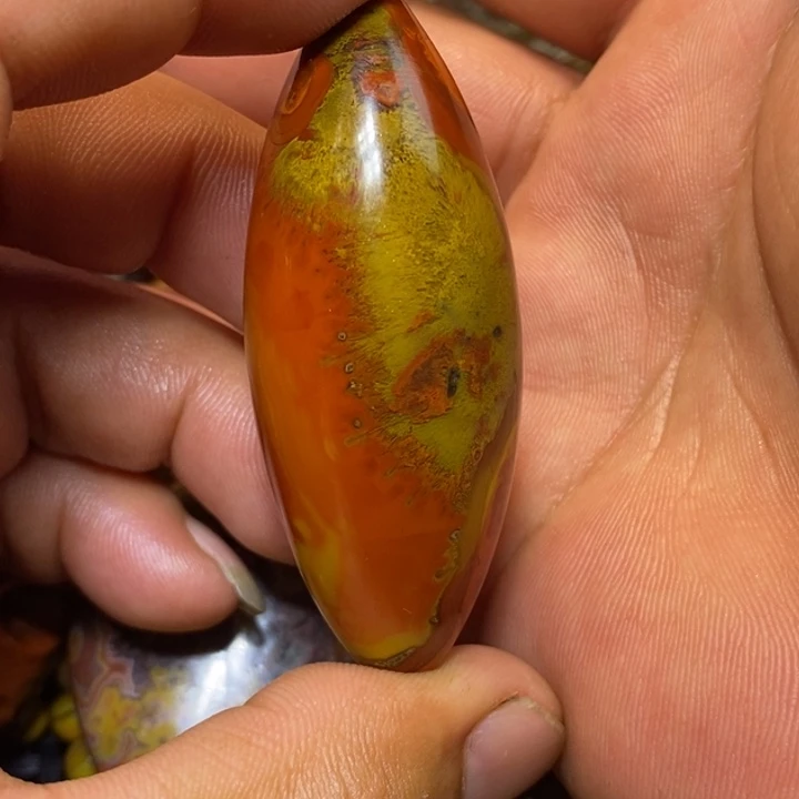 未镶嵌战国红桶珠玛瑙/玉髓J****金